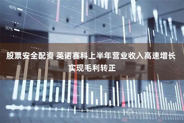 股票安全配资 英诺赛科上半年营业收入高速增长 实现毛利转正