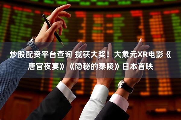 炒股配资平台查询 揽获大奖！大象元XR电影《唐宫夜宴》《隐秘的秦陵》日本首映